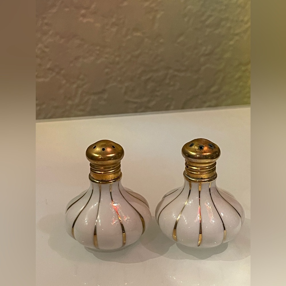 Vintage rice Hand Painted White Porcelain w/ Gold Accents
Salt & Pepper Shakers